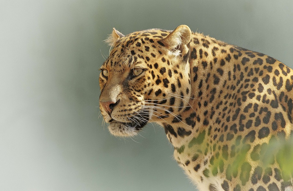 8 Days, 7 Nights Kenya And Tanzania Budget Group Camping Safari Package