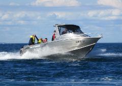 Standard Boat Dive