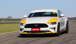 Hot Lap Experience - V8 Mustang - Mallala