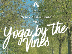 Rymill Yoga by the Vines 2025