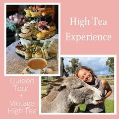 Guided Tour with the Farmer + High Tea Experience