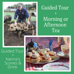 Guided Tour with the Farmer + morning or afternoon tea