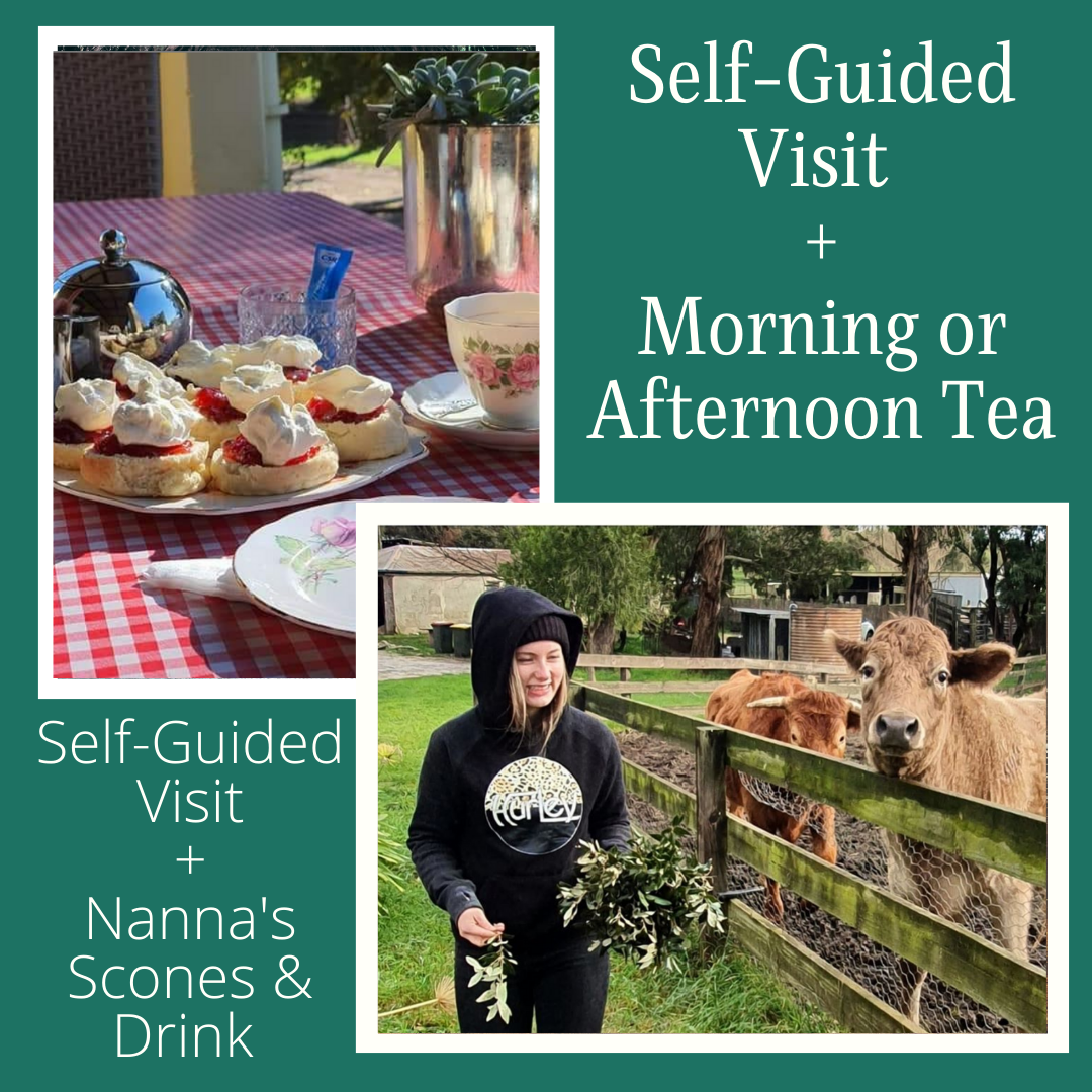 Self-Guided Visit + morning or afternoon tea 