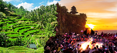 Ubud Highlights Tour & Uluwatu Temple with Kecak Dance