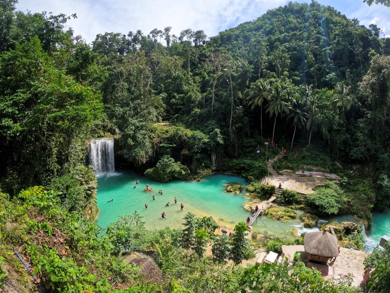 KWMB: カワサン滝キャニオニング＋モアルボアル (イワシの大群＆ウミガメ)ツアー/ Kawasan Falls Canyoning and Moalboal (Sardine Run & Sea Turtles) Tour