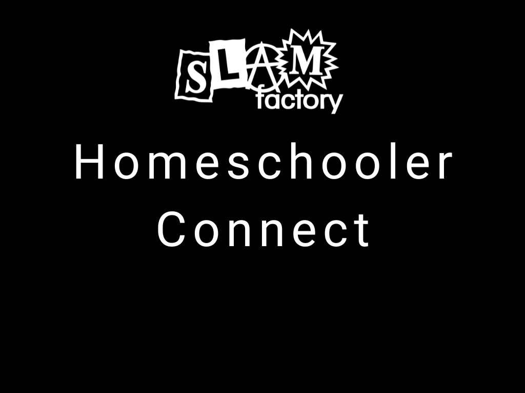 Homeschooler Connect - Facilitated Fundamentals Session