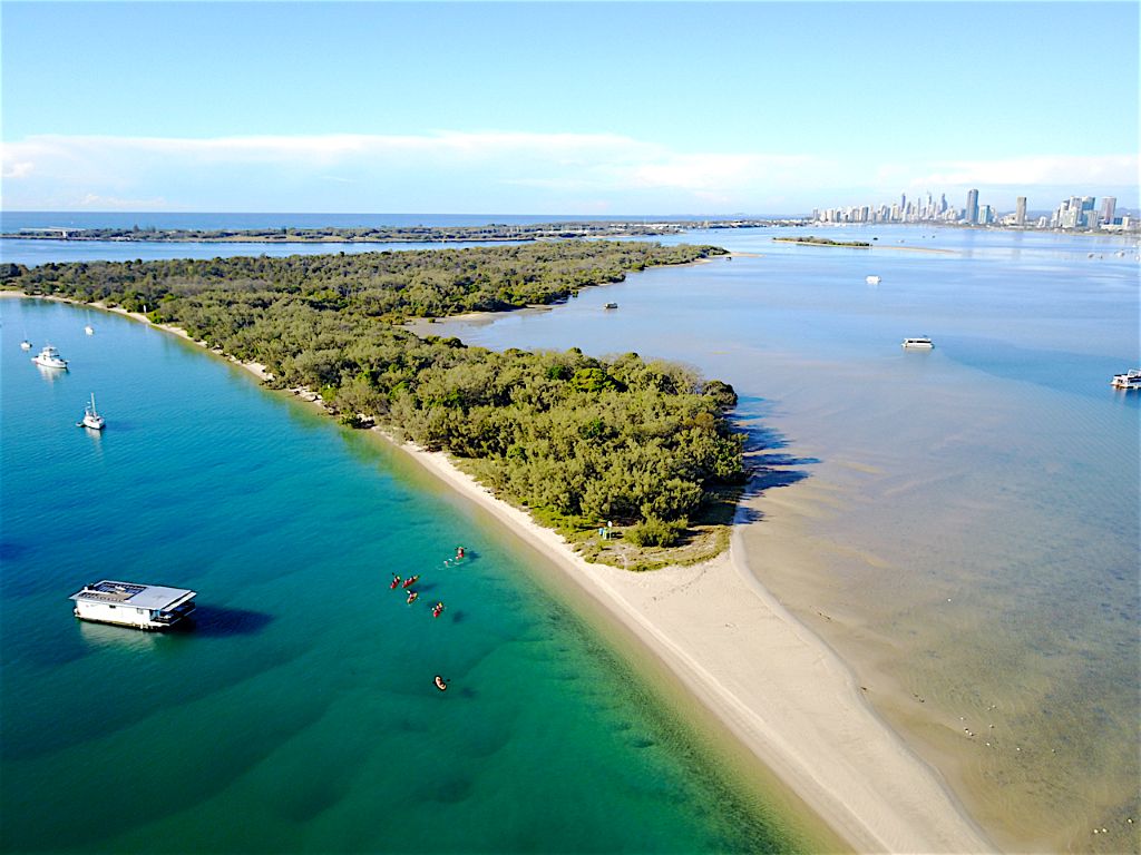 Gold Coast Discovery Kayak Tour: The Broadwater Nature Adventure