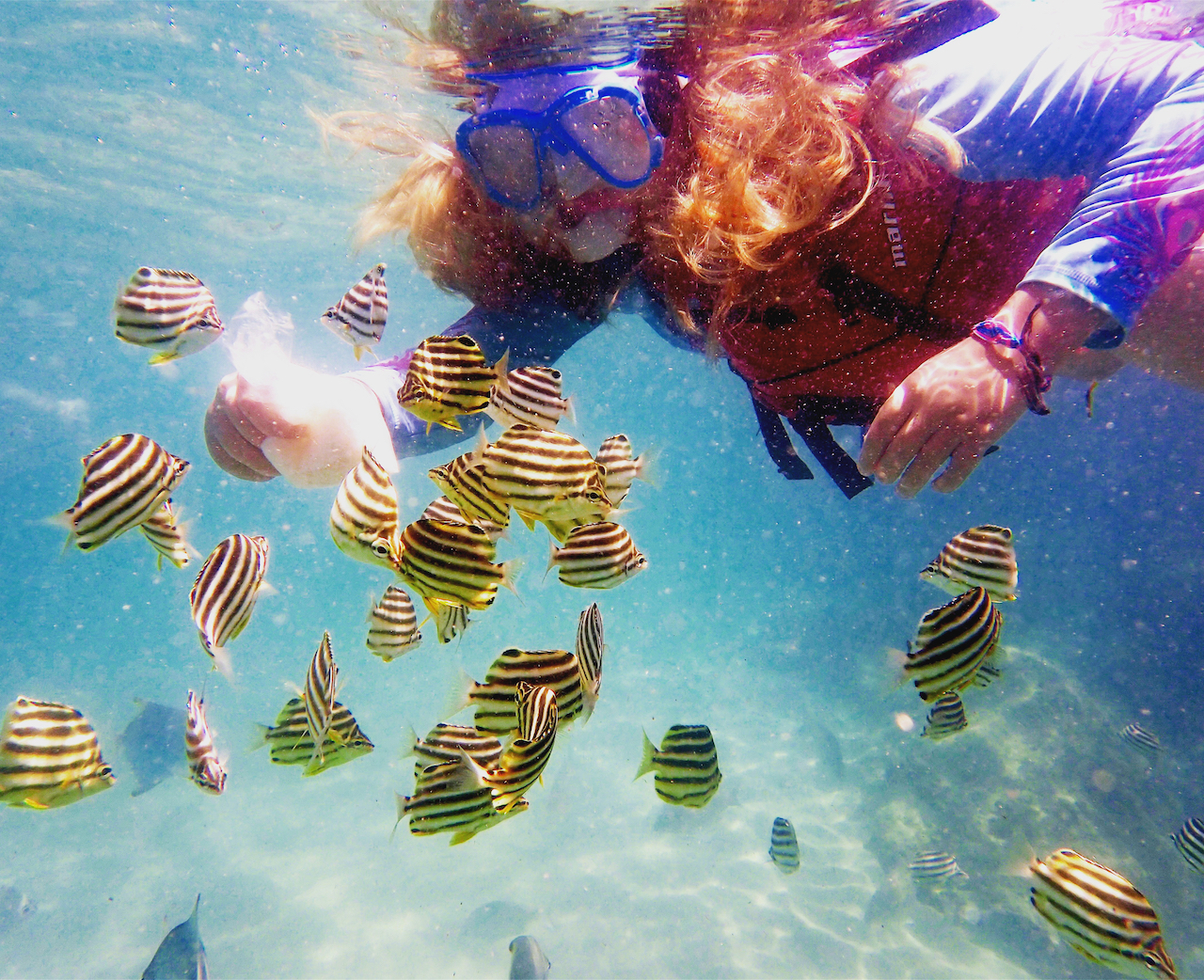 Gold coast Kayaking & Snorkelling tour