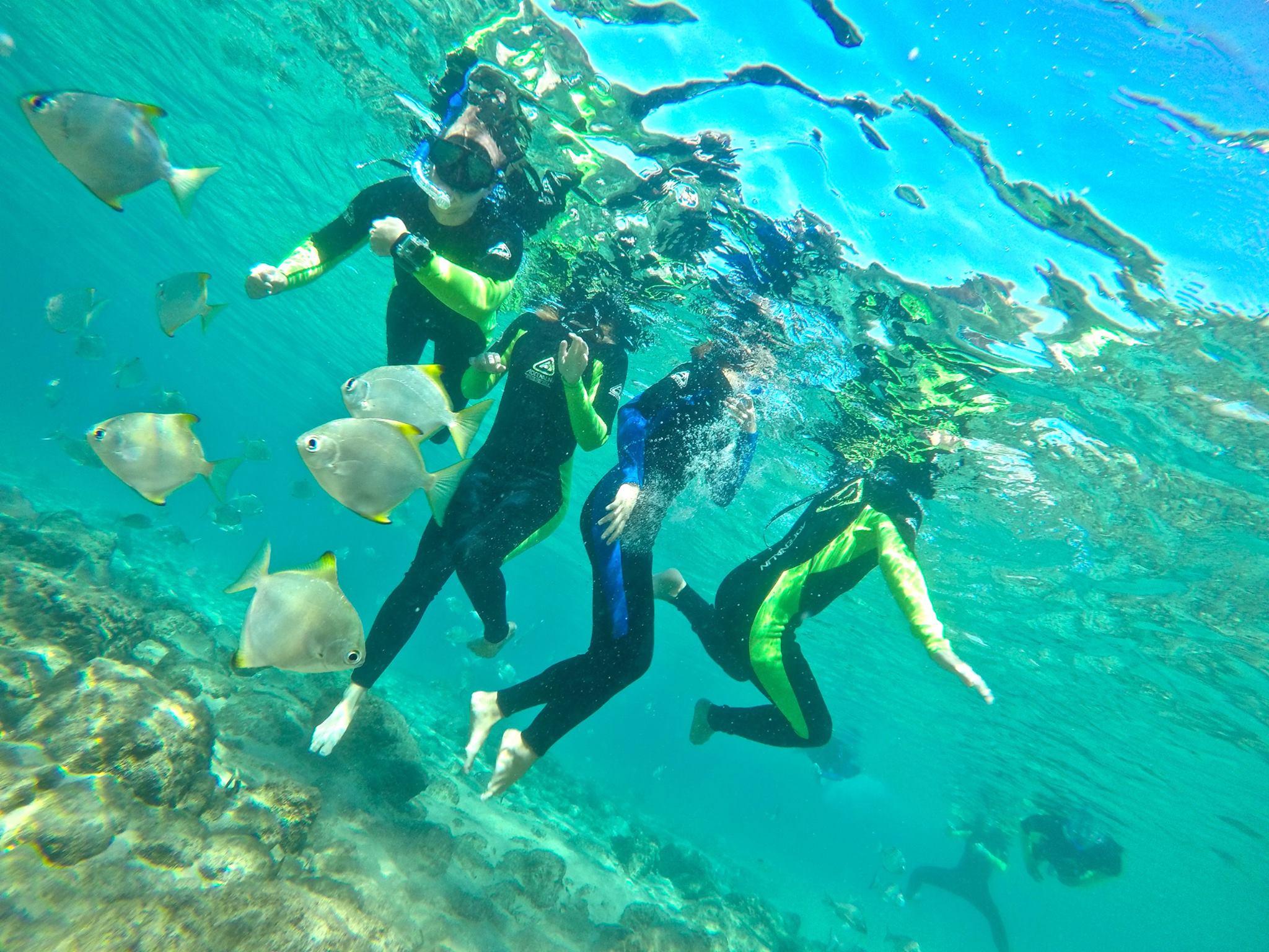 Gold coast Kayaking & Snorkelling tour