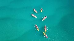 Gold Coast Discovery Kayak Tour: The Broadwater Nature Adventure