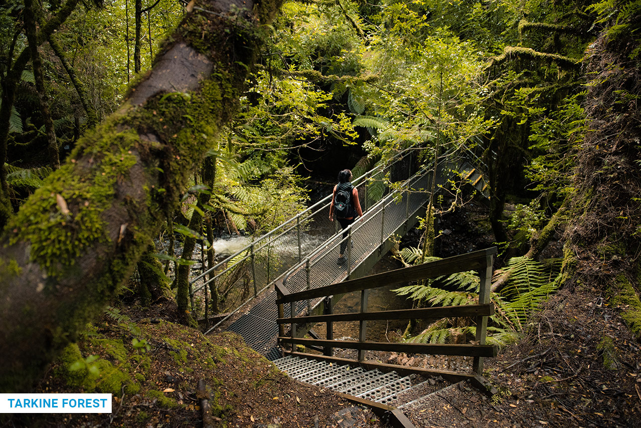 14 Night/15 Day BYO Car - Self Drive Holiday with Innkeepers Tasmania (MOTELS)