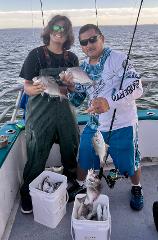 MIXED BAG (8am - 2pm)