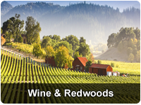 Redwoods & Wine Country Escape_PARTNER