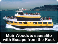 Muir Woods Expedition with Escape from the Rock
