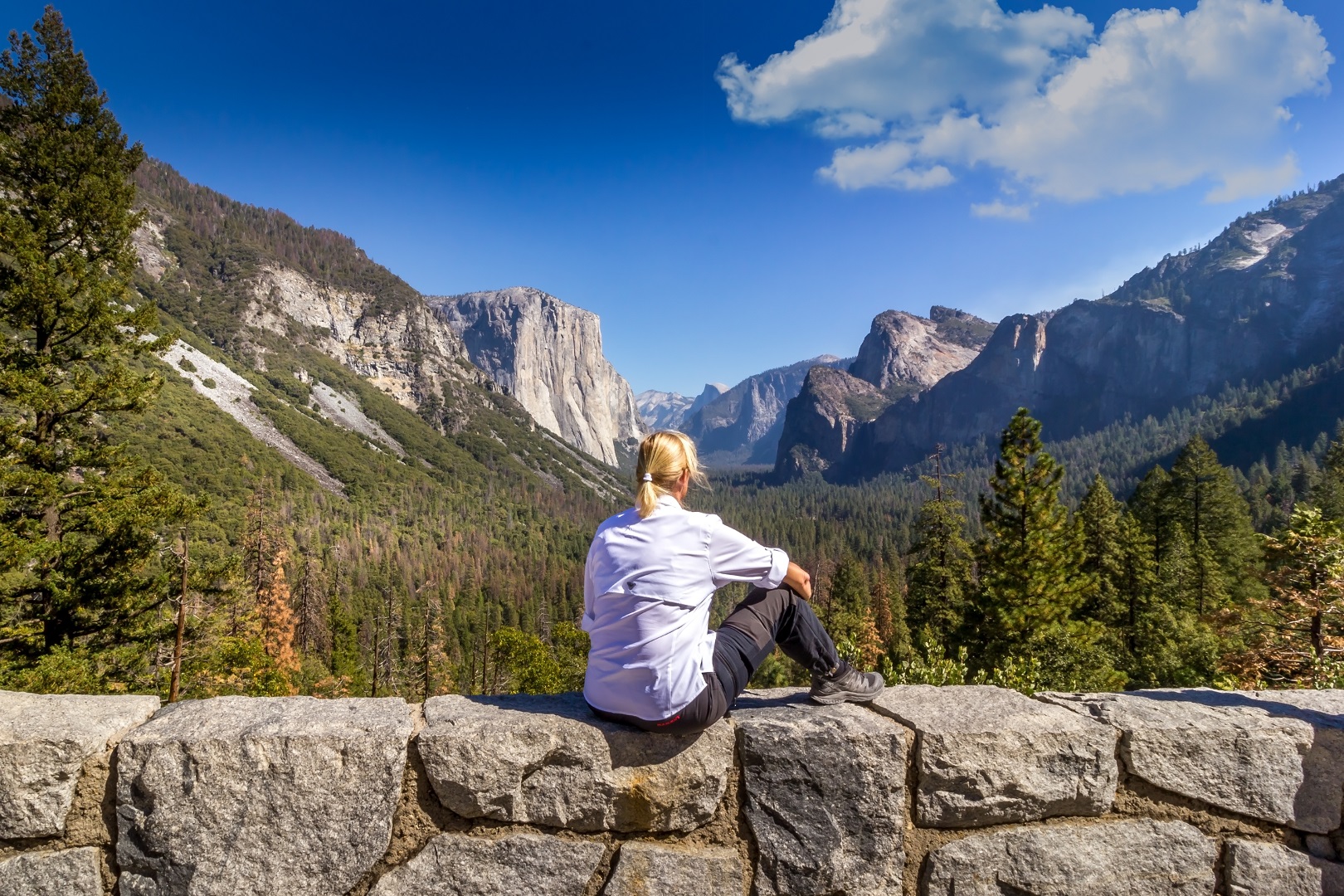 2-Day Yosemite National Park Tour from San Francisco with No Accomodation