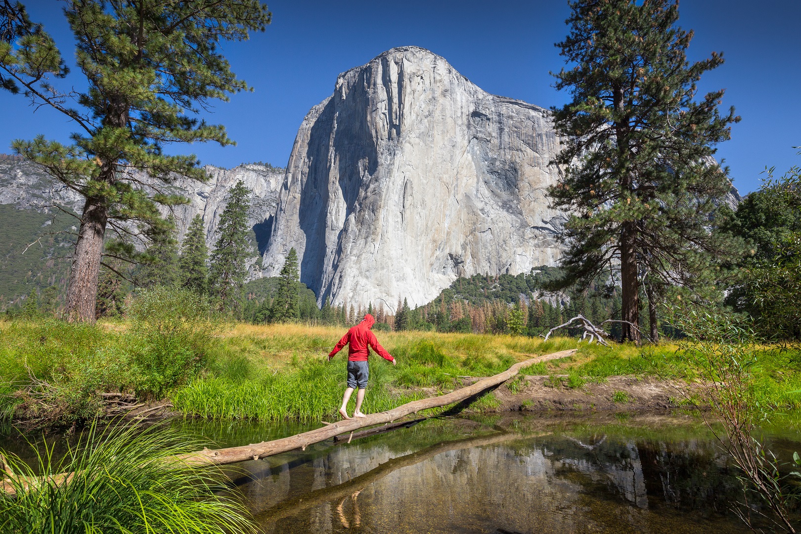 2-Day Yosemite National Park Tour from San Francisco with No Accomodation