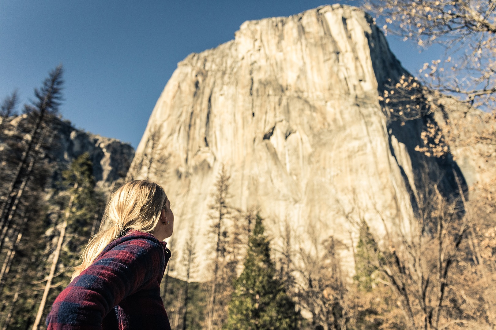 2-Day Yosemite National Park Tour from San Francisco with No Accomodation