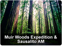 Muir Woods Redwoods Morning Tour_PARTNER