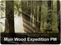 Muir Woods Redwood Afternoon Tour_PARTNER 