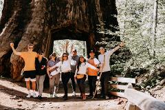 Yosemite & Giant Sequoias Tour_PARTNER