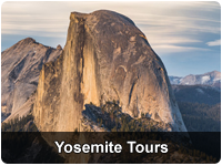 Total Yosemite Experience℠ & Giant Sequoias