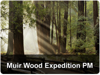 Muir Woods Expedition & Sausalito PM with Ferry Bay Cruise