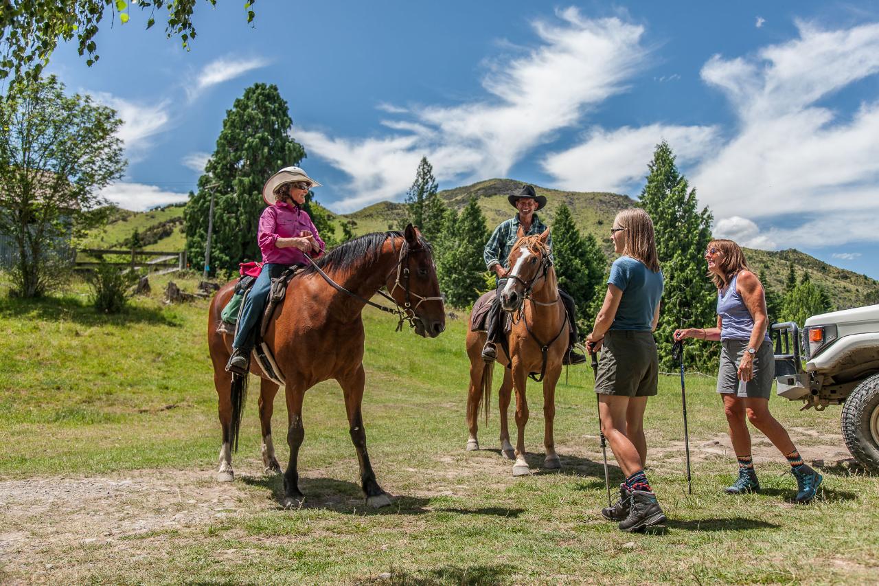 Two days walk including pack transport and accommodation at Island Hills Station