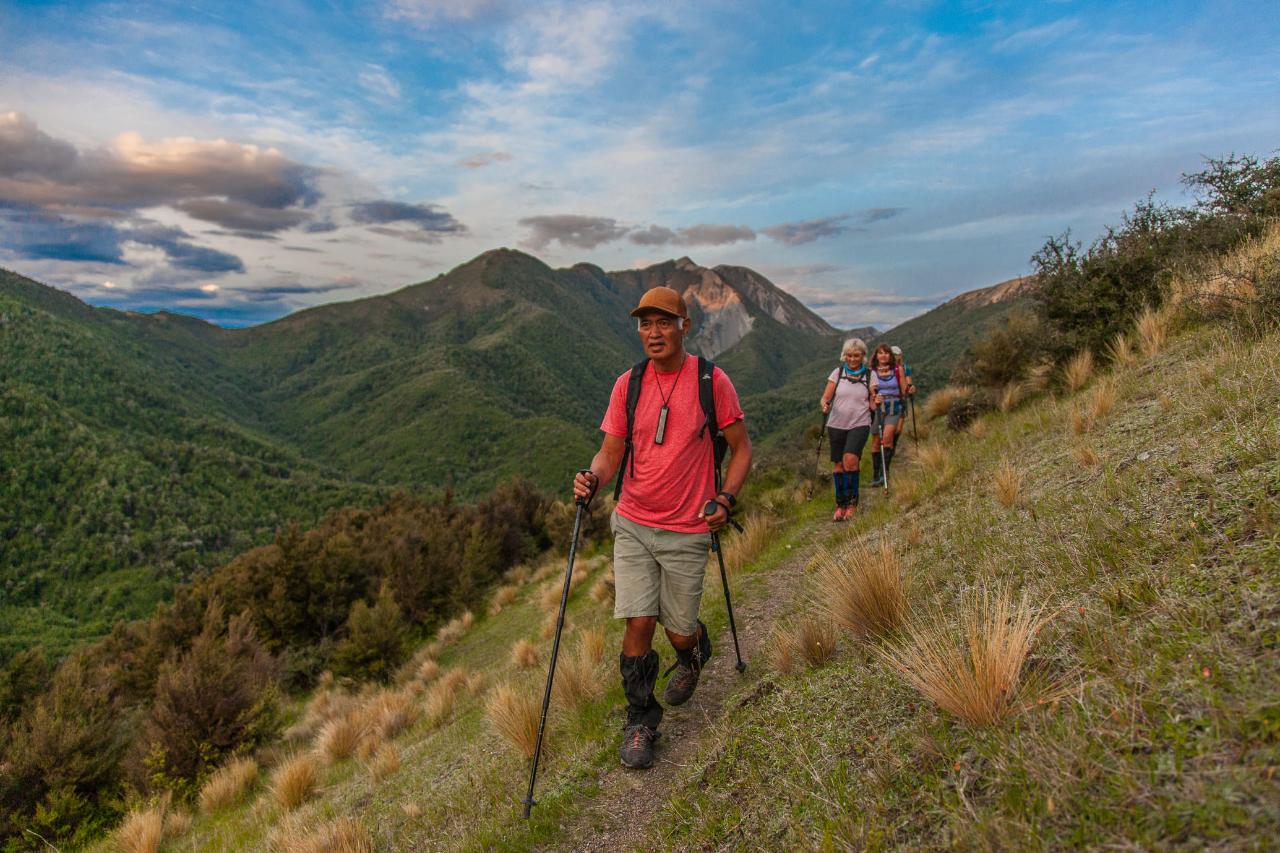 Two day hike with food provisions includes pack transport and accommodation at Island Hills Station