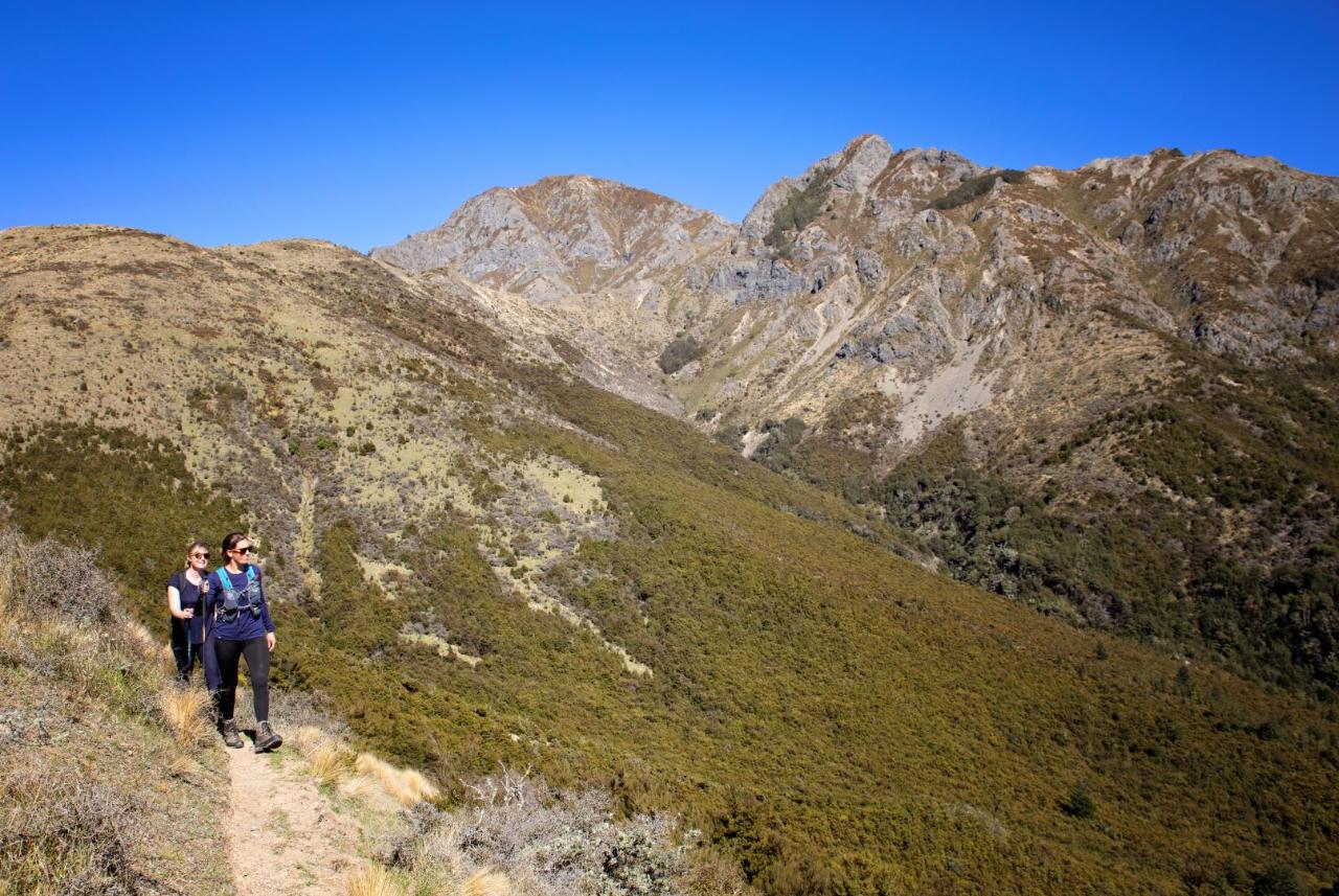 Two day hike includes pack transport and accommodation at Island Hills Station