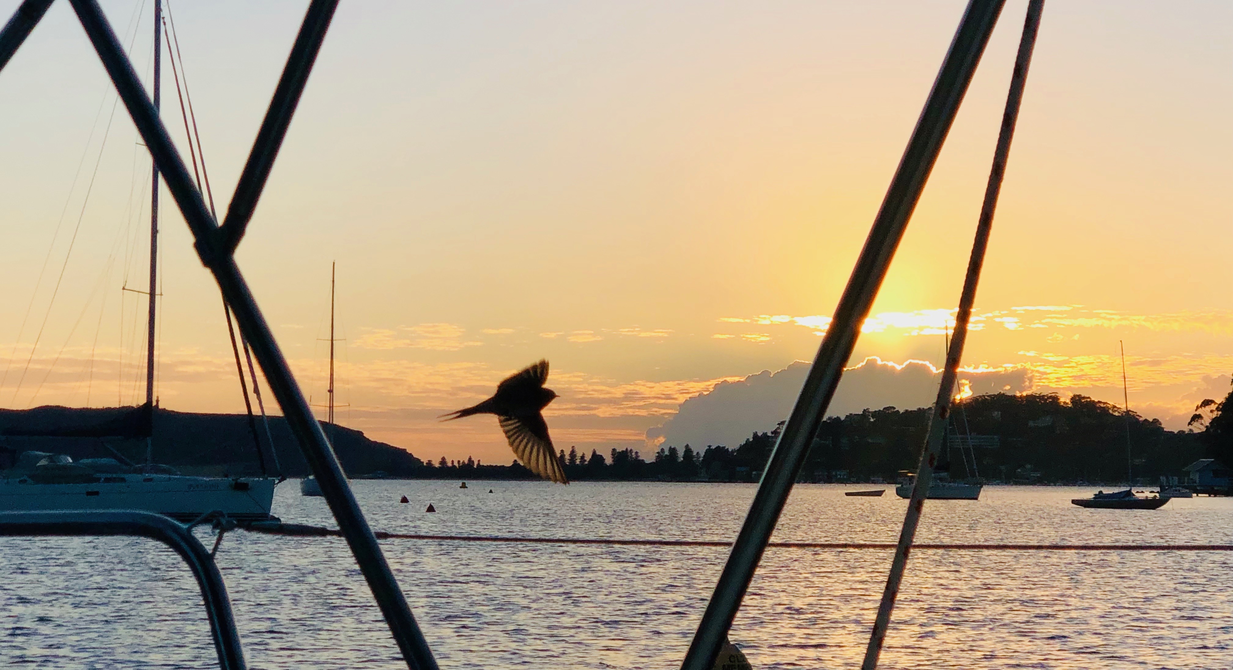 Ultimate Proposal Package