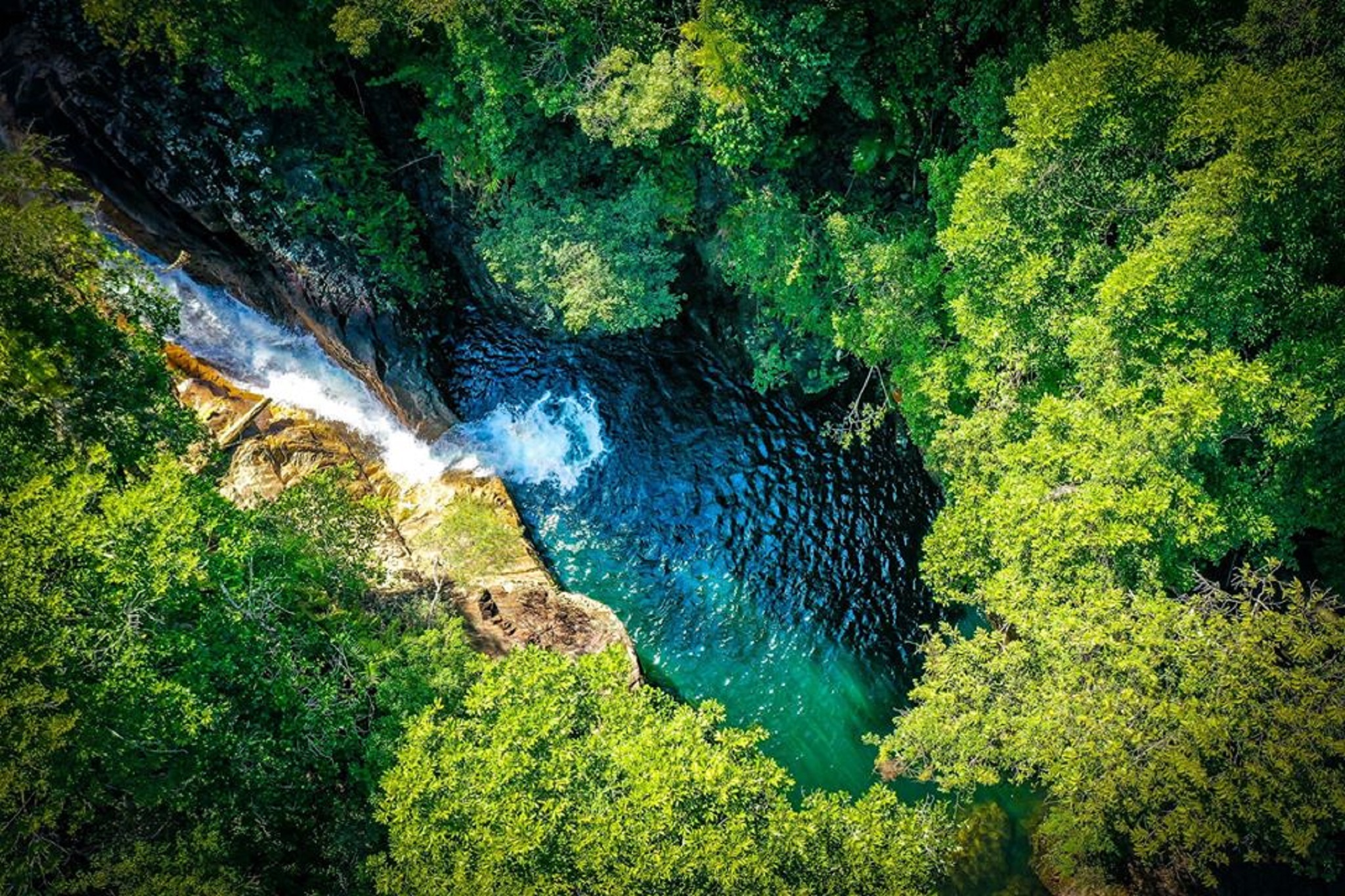 Wildlife Tour - Kangaroo’s on the Beach at Sunrise - Departing Airlie Beach Daily
