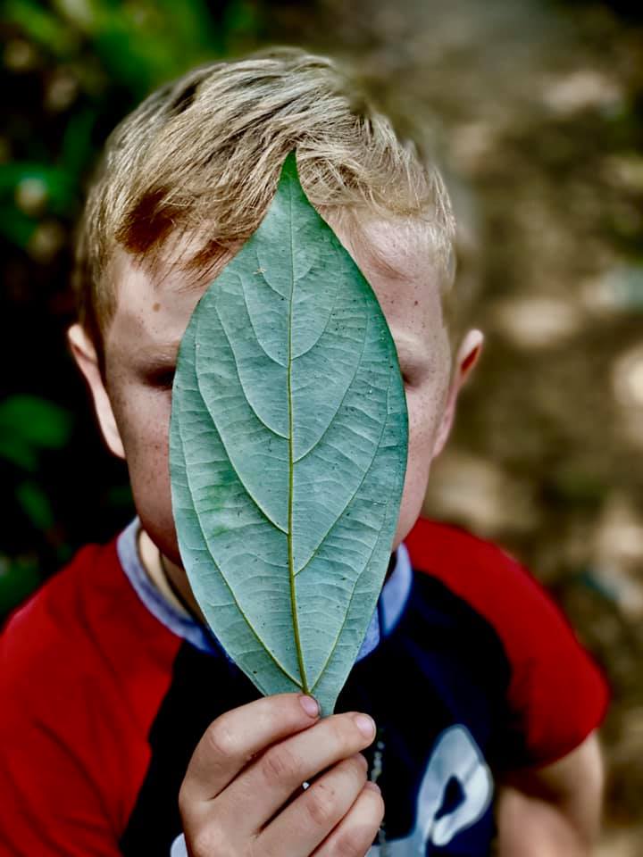 Wildlife Tour - Kangaroo’s on the Beach at Sunrise - Departing Airlie Beach Daily