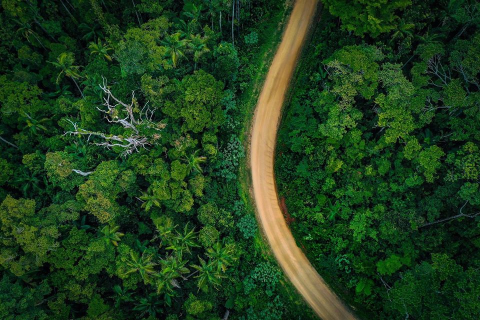 Wildlife Tour - Kangaroo’s on the Beach at Sunrise - Departing Airlie Beach Daily