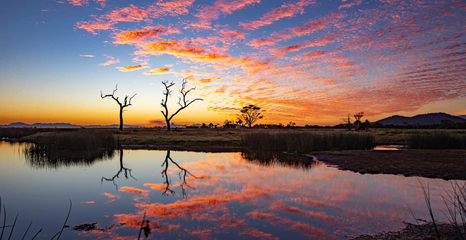 Wildlife Tour - Kangaroo’s on the Beach at Sunrise - Departing Airlie Beach Daily
