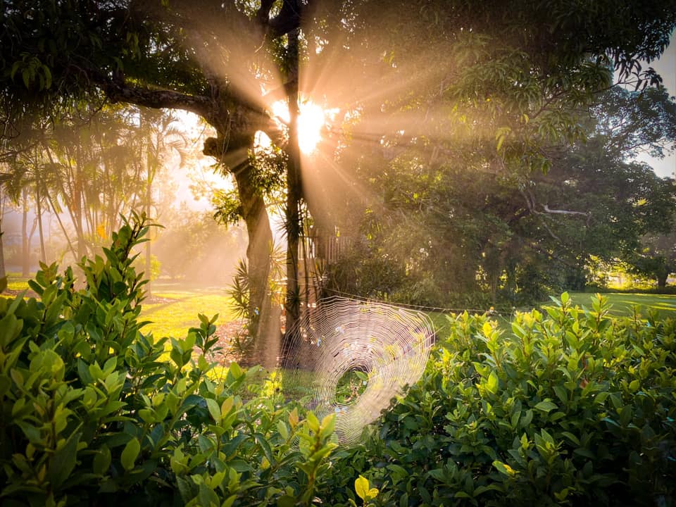 Wildlife Tour - Kangaroo’s on the Beach at Sunrise - Departing Airlie Beach Daily