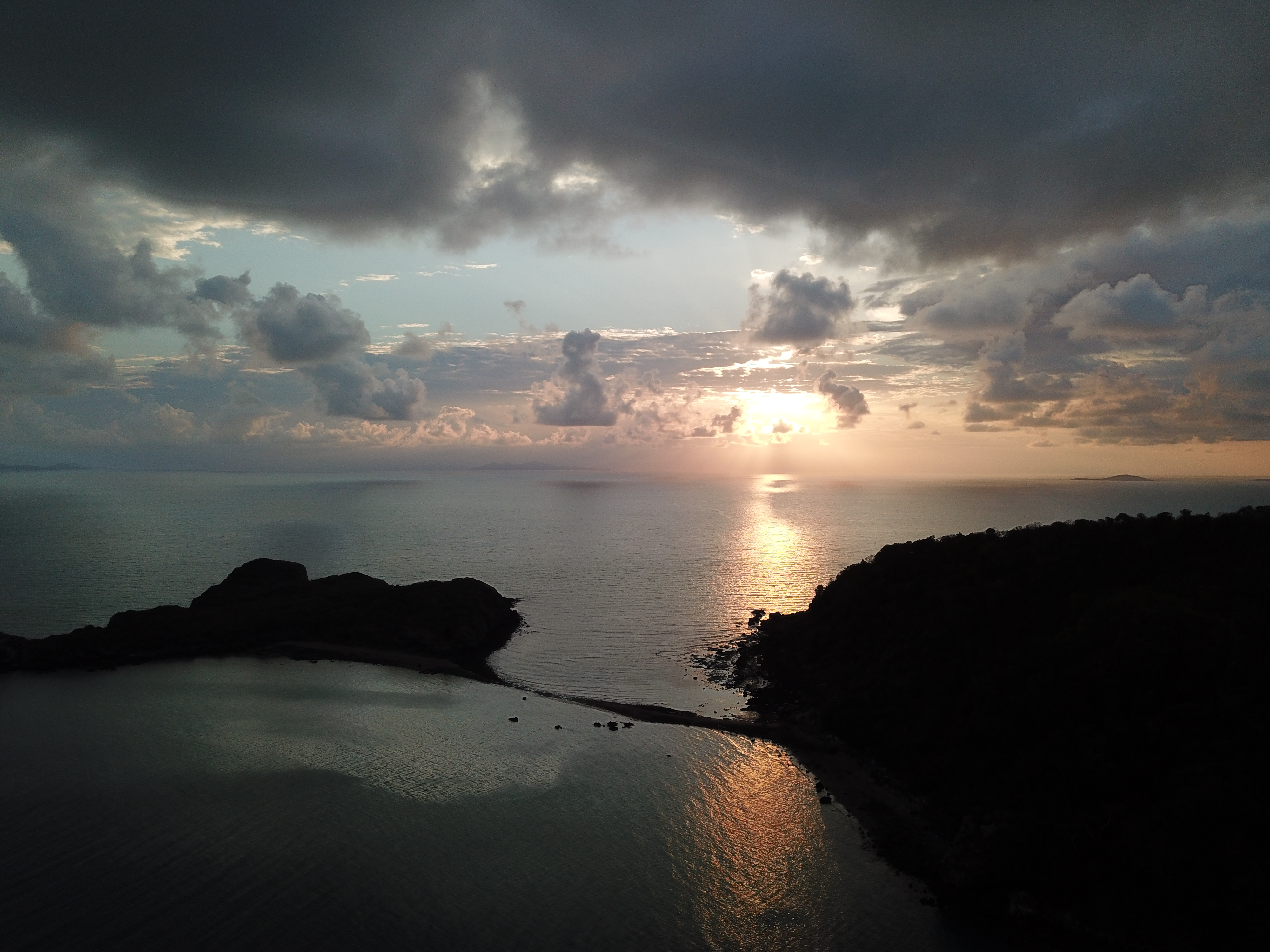 Wildlife Tour - Kangaroo’s on the Beach at Sunrise - Departing Airlie Beach Daily