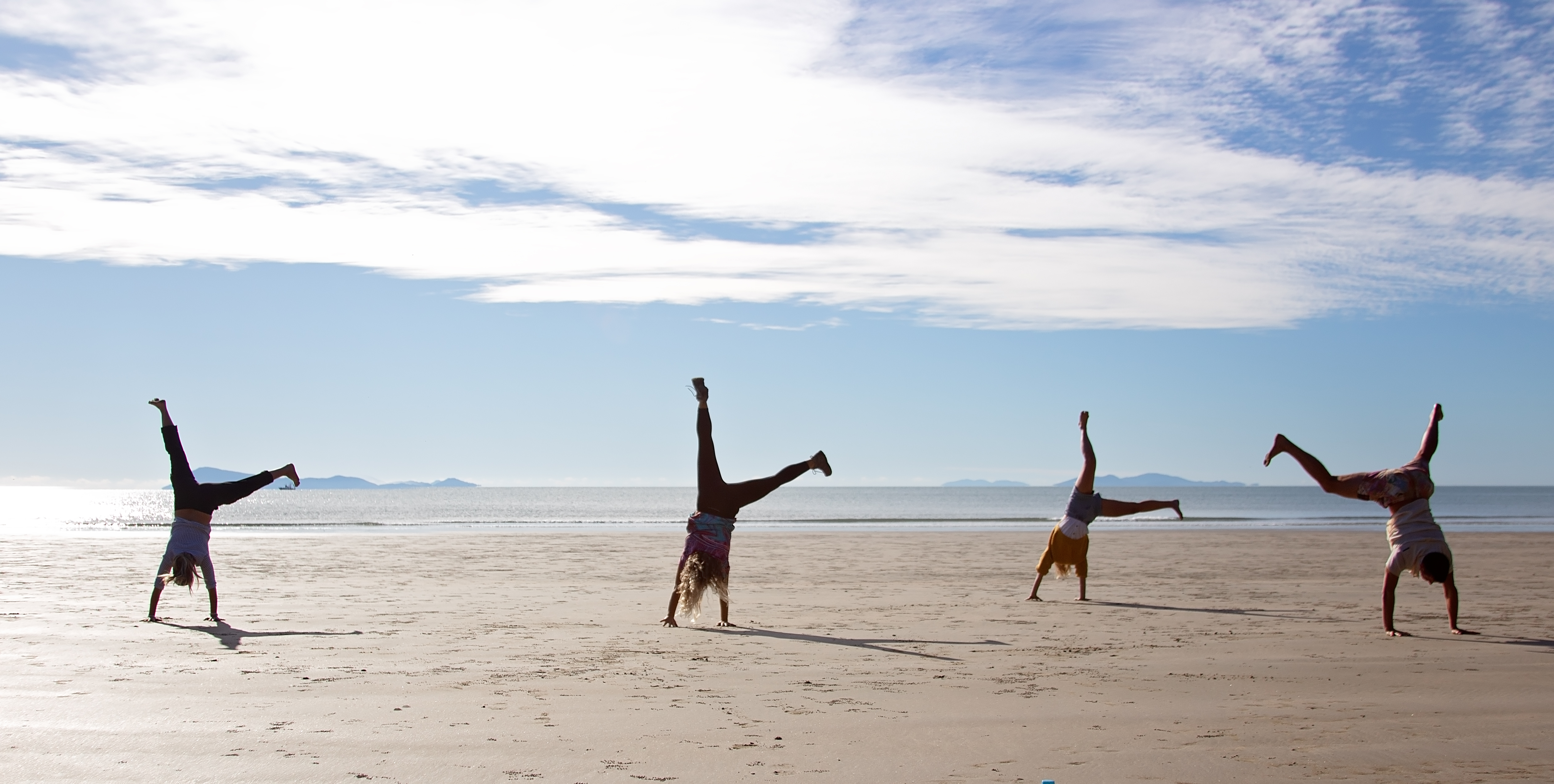 Wildlife Tour - Kangaroo’s on the Beach at Sunrise - Departing Airlie Beach Daily