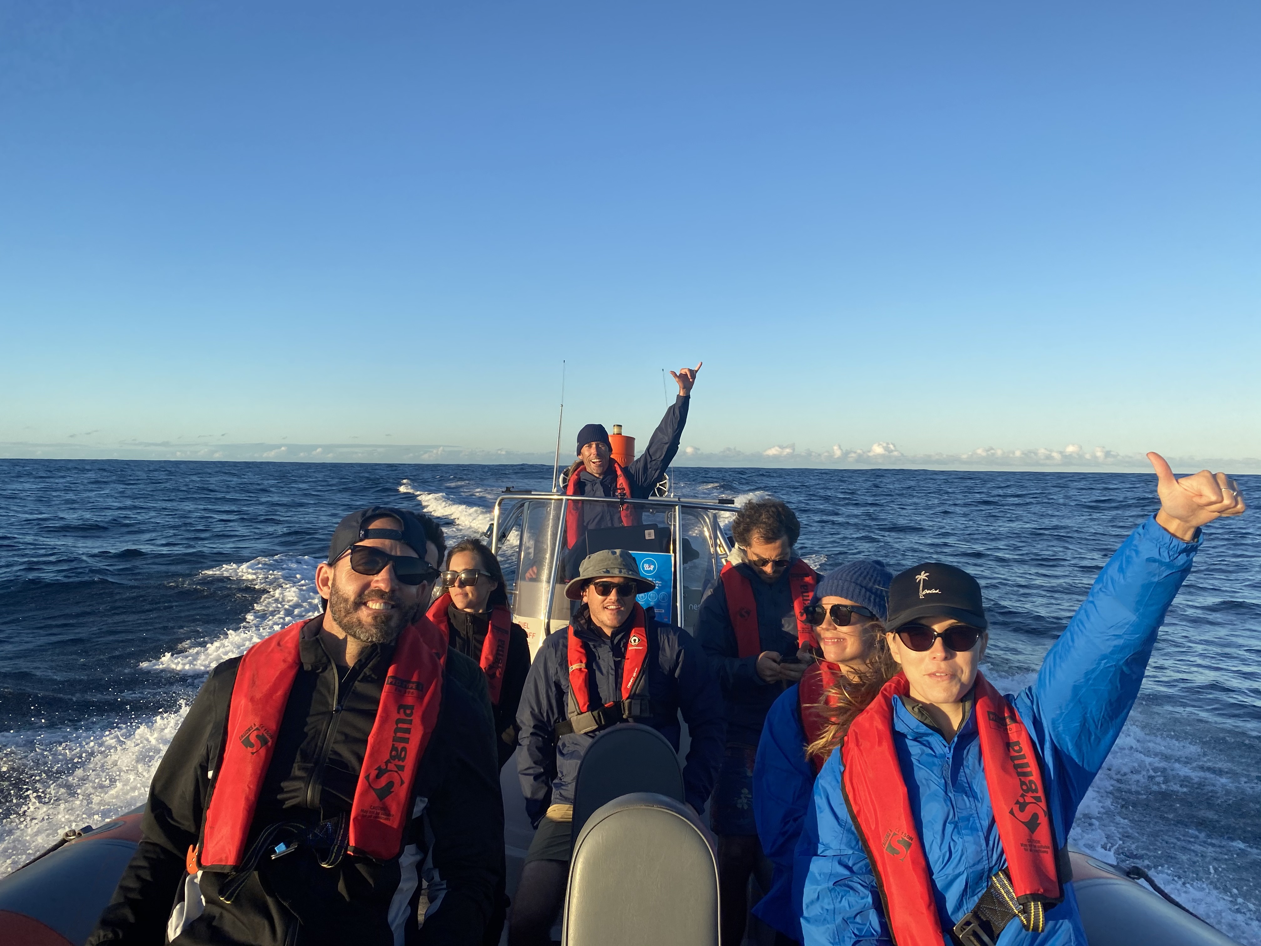 Swim with Whales off the Gold Coast