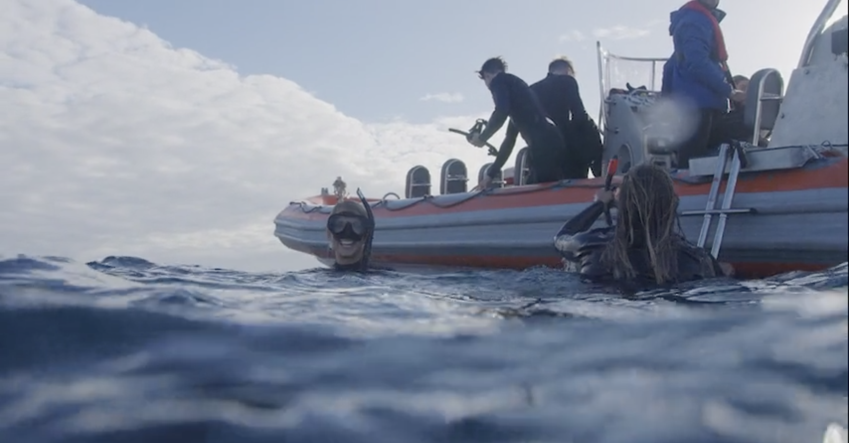 Swim with Whales off the Gold Coast