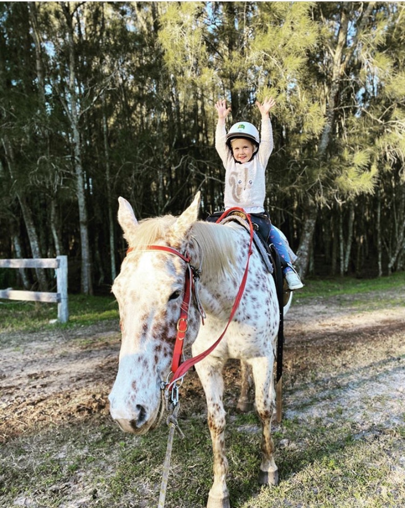 30 minute First taste of horse riding 