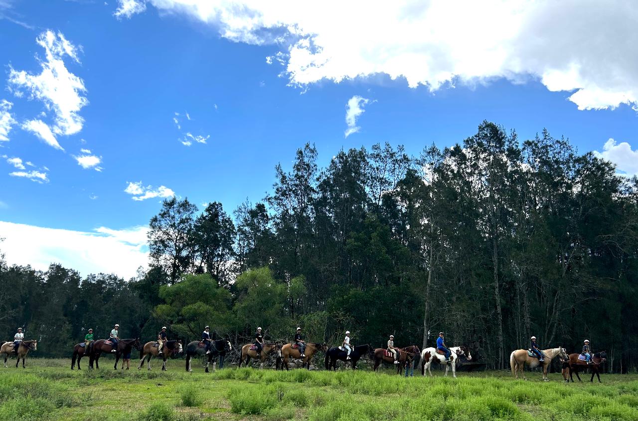 50 minute Beginner Bush Trail Ride 