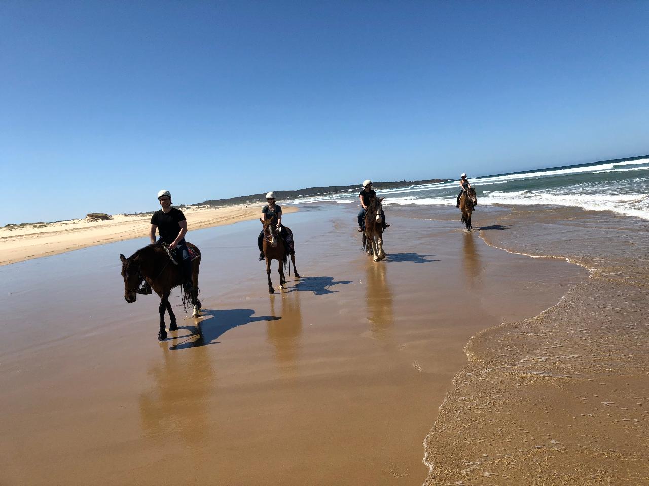 1 Hour Classic Beach ride