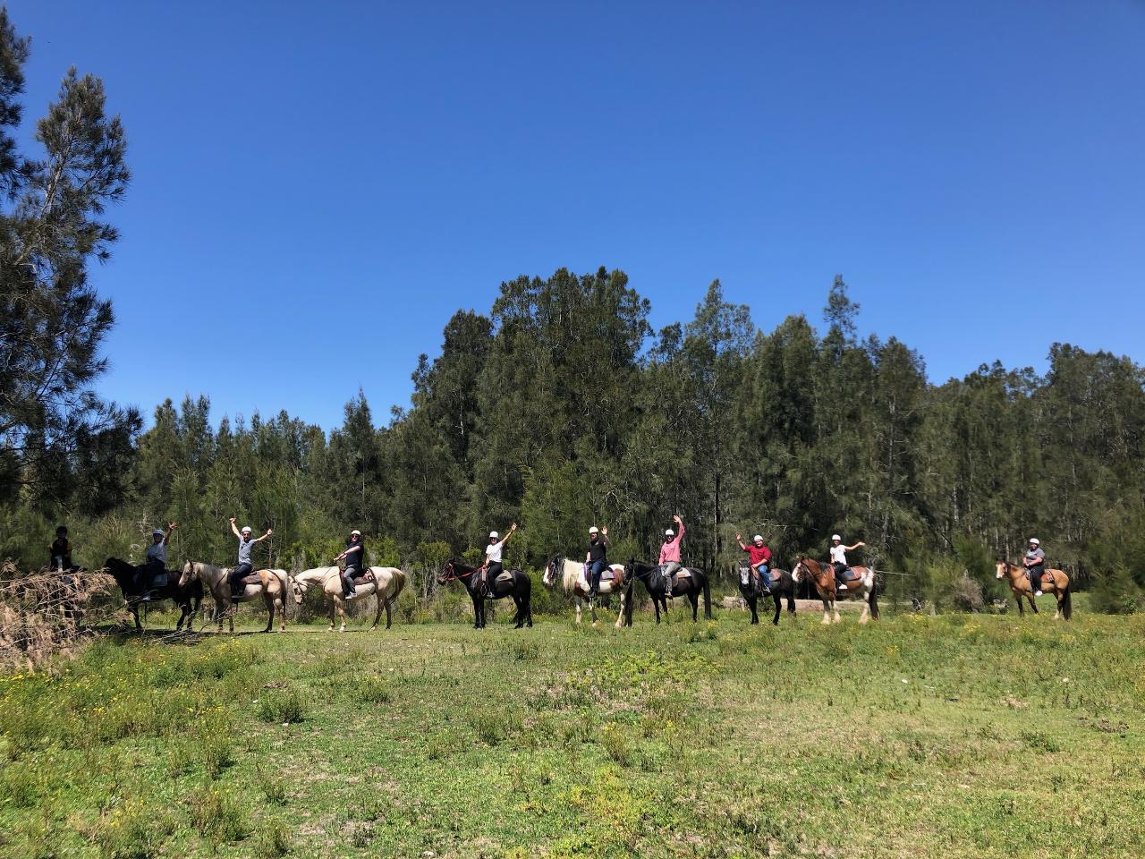 50 minute Beginner Bush Trail Ride 