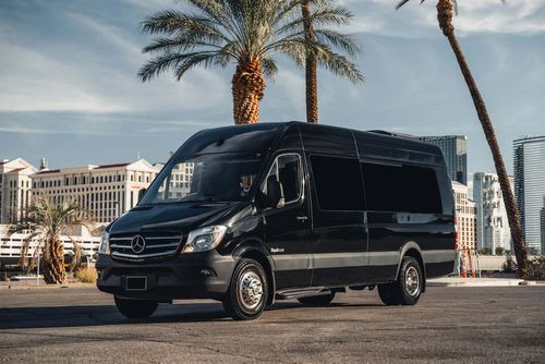 12 pax Sprinter Limo