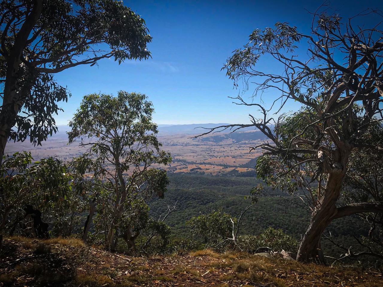 Timbertop Climb