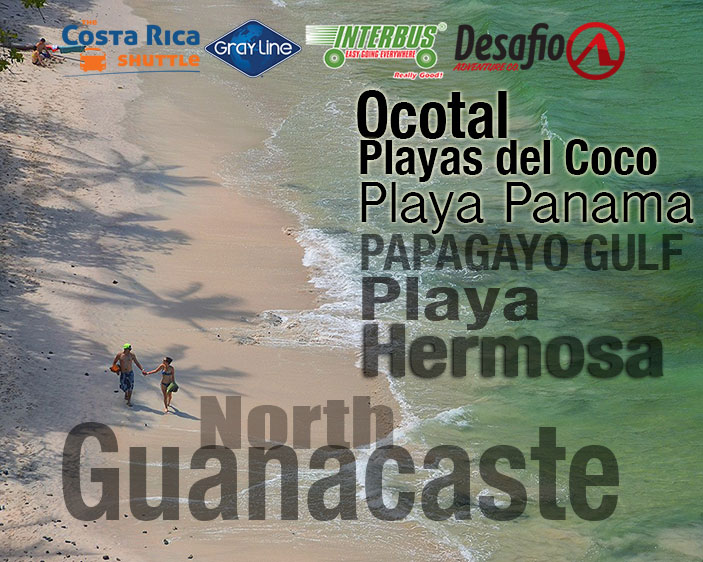 Shuttle North Guanacaste to Playa Hermosa Jaco - Transfer