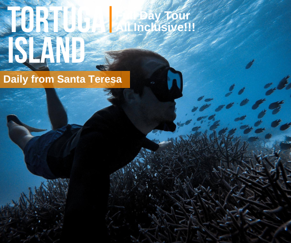 Tortuga Island Full Day Tour from Santas Cabinas Santa Teresa