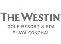 Private Service The Westin Resort to Playa Hermosa - Transfer