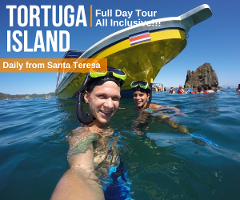 Tortuga Island Full Day Tour from Casa Cecilia Santa Teresa