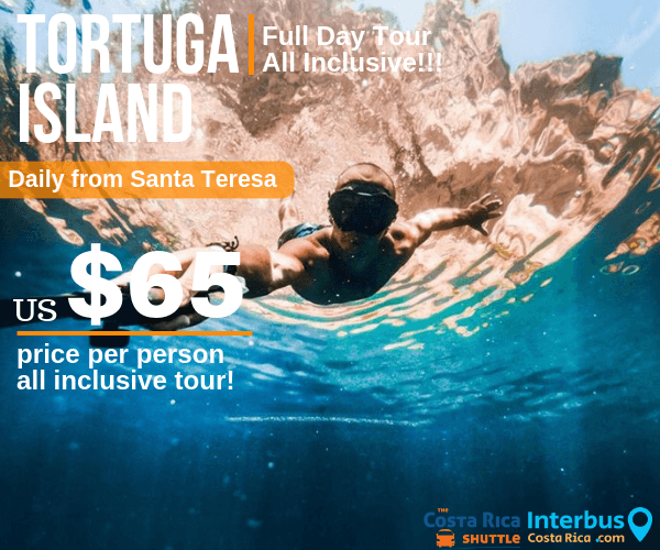 Tortuga Island Full Day Tour from Pacifica Surf Studios Santa Teresa